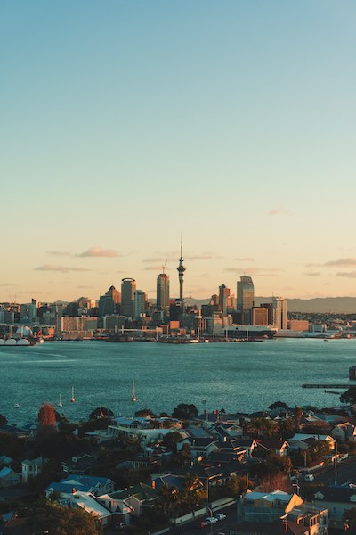 NZ7